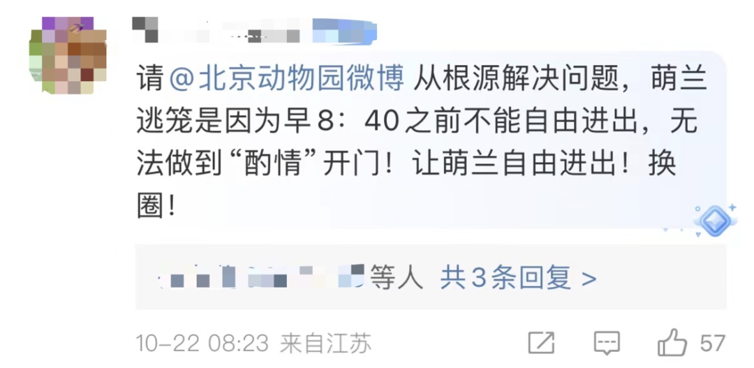 大熊猫萌兰再次“越狱”引热议！北京动物园：闭馆改造