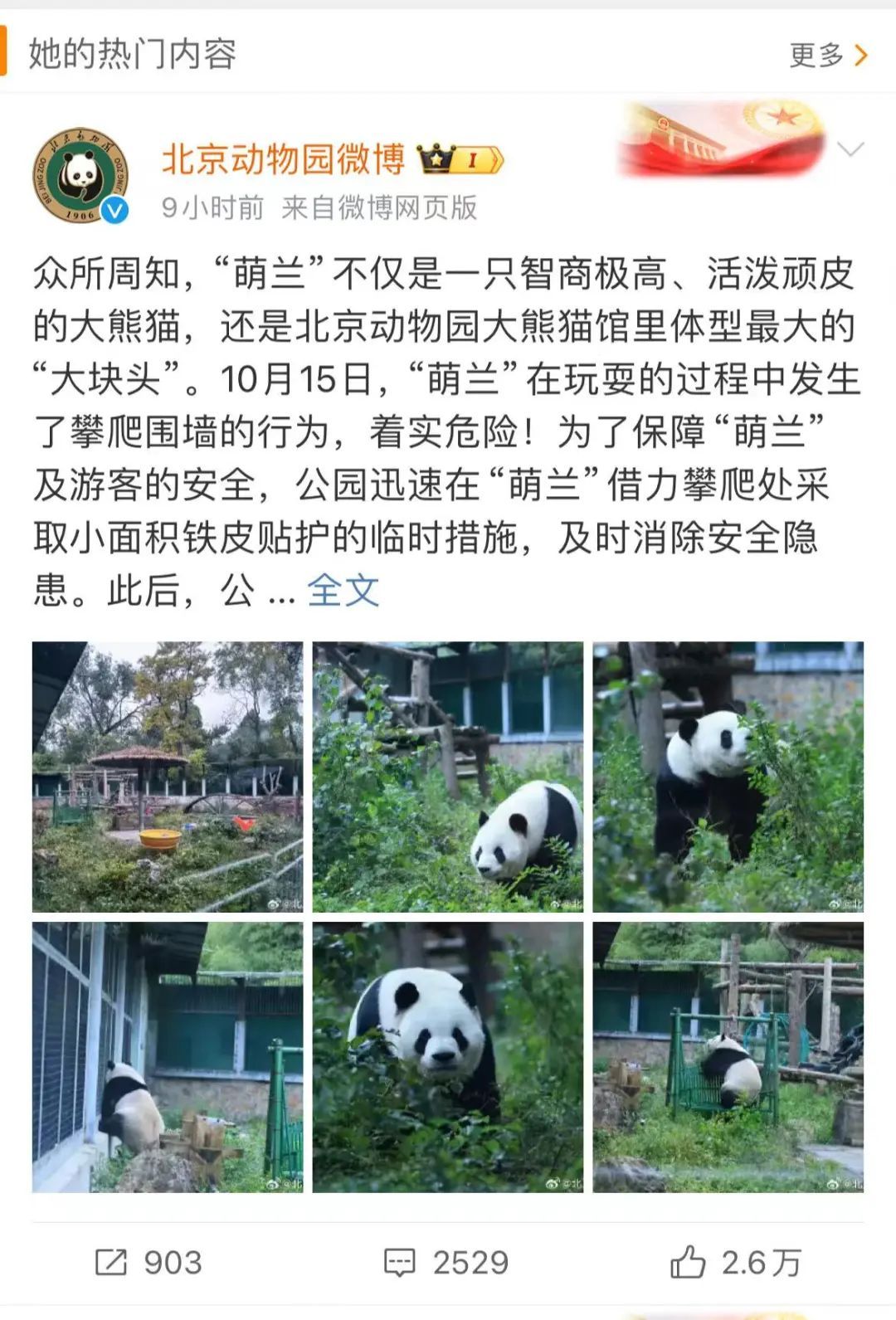 大熊猫萌兰再次“越狱”引热议！北京动物园：闭馆改造
