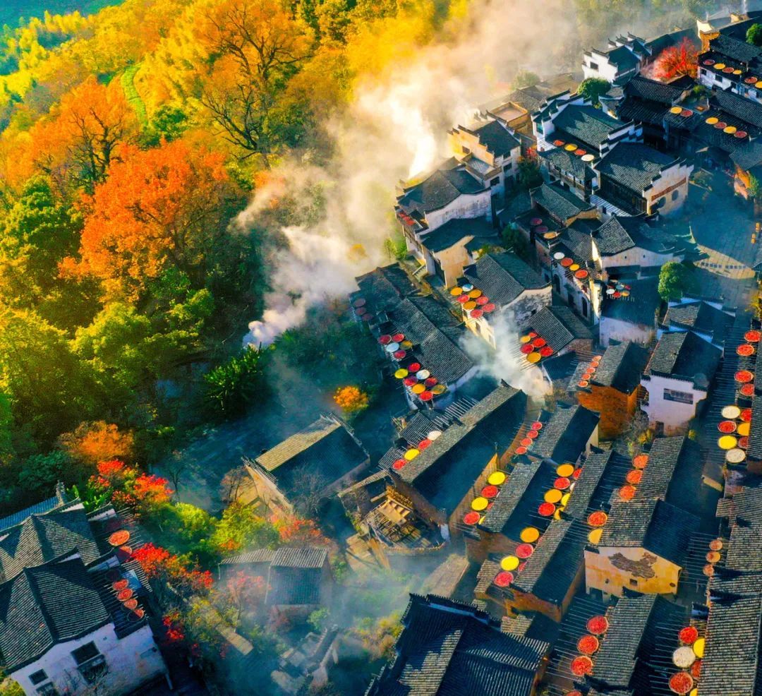 霜降 | “柿柿”如意！看，河源上饶联手绘就一幅晚秋画卷