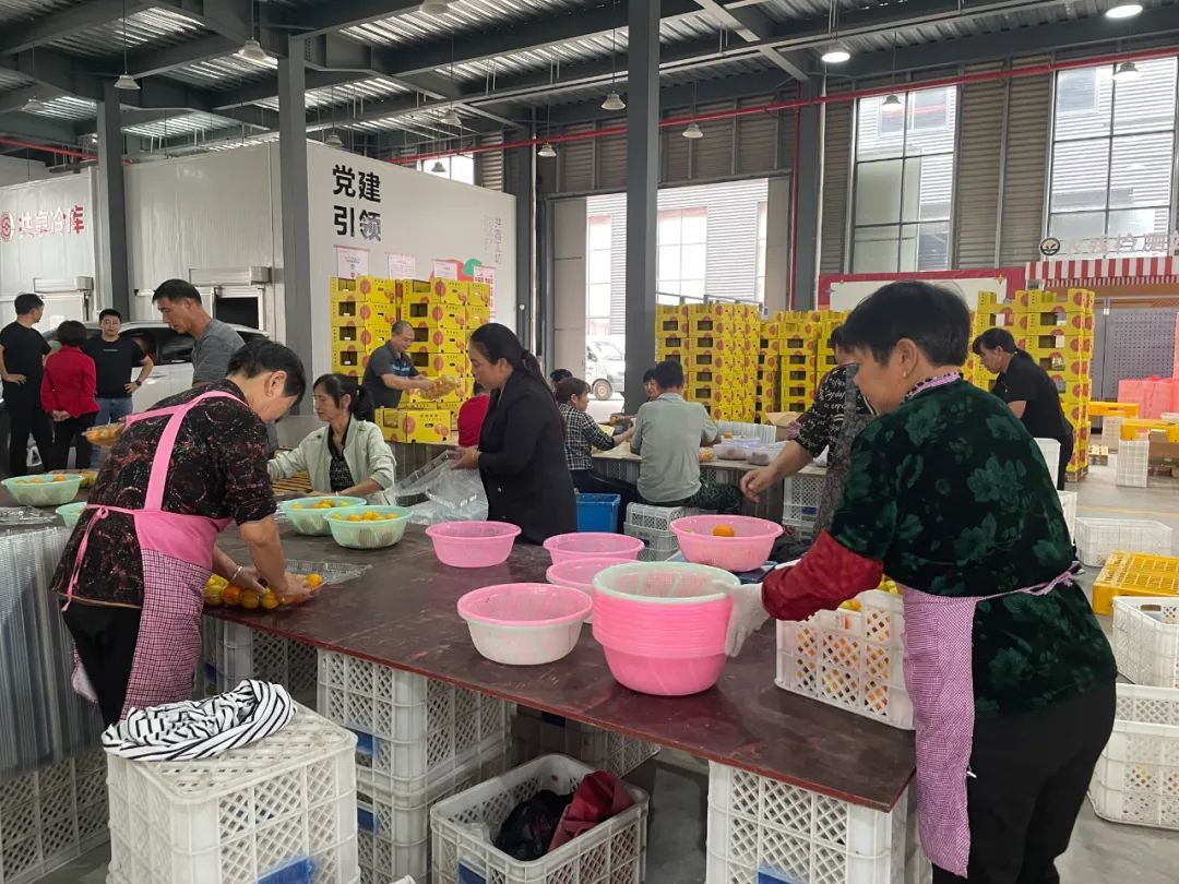 价格大涨！台州人超爱的这一口，正在上市