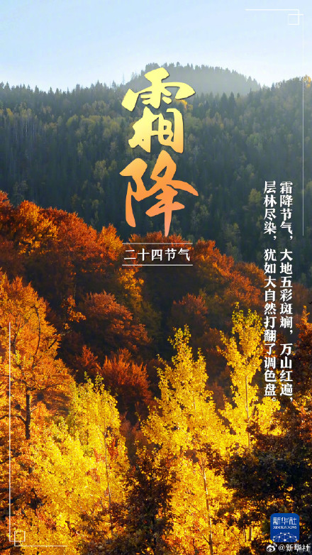 今日霜降,冬季将至 今日霜降,冬季将至