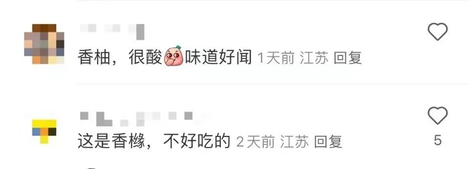 男孩误食险些猝死！广东很多地方都有种植......