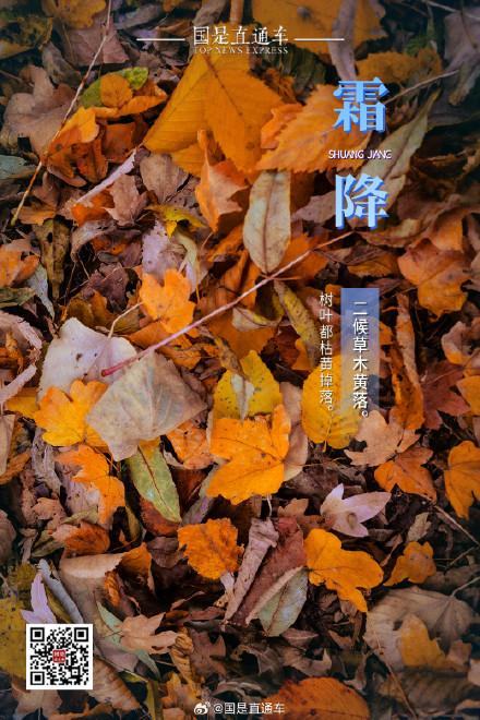 诗句中的24节气:今日霜降 诗句中的24节气:今日霜降