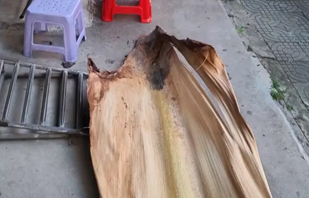 冲上热搜!男子被树叶砸晕,获赔2.2万元 冲上热搜!男子被树叶砸晕,获赔2.2万元