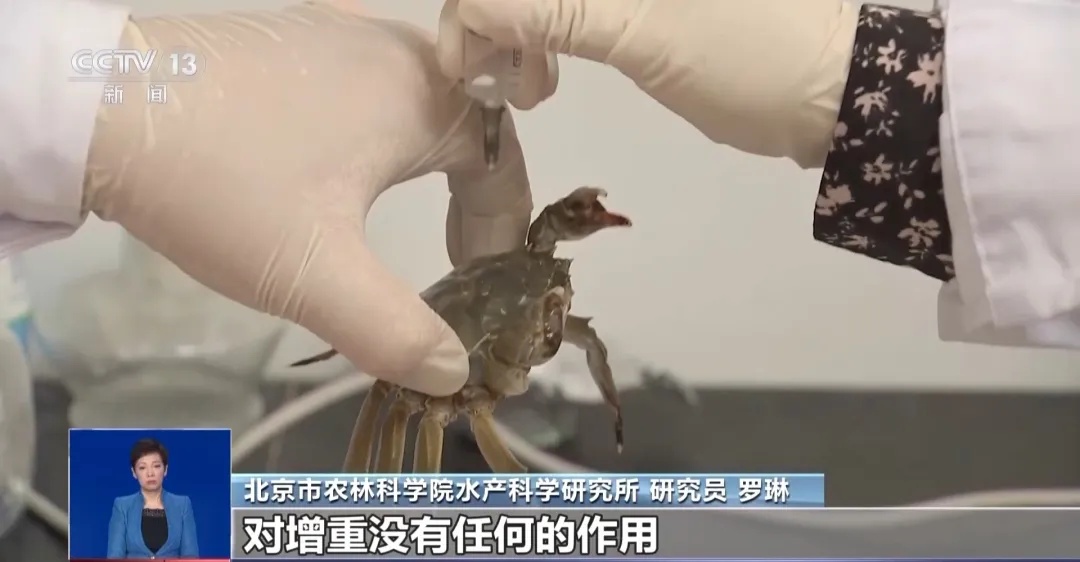 假的!假的!千万别信 假的!假的!千万别信