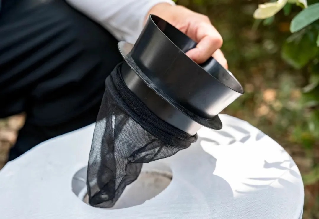 众目睽睽之下，广州男子一下放飞了30万只蚊子！