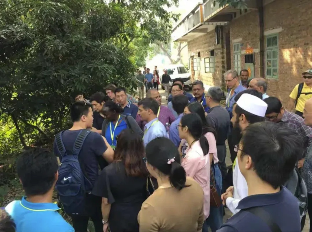 众目睽睽之下，广州男子一下放飞了30万只蚊子！