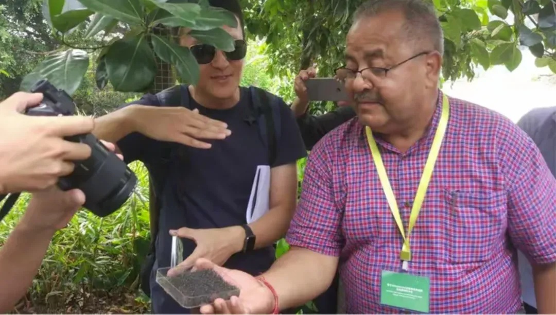 众目睽睽之下，广州男子一下放飞了30万只蚊子！