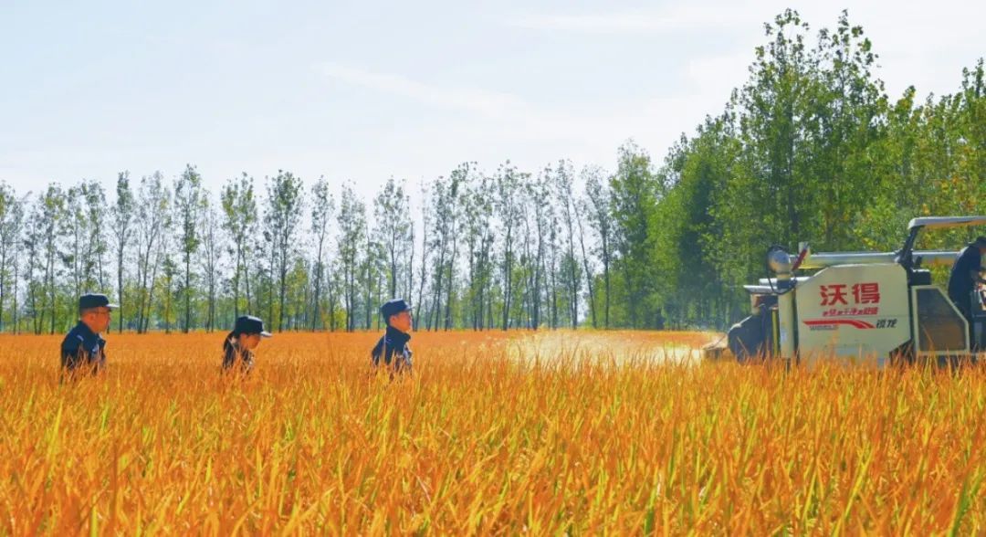 家长们的私家车为什么都停在了派出所? 家长们的私家车为什么都停在了派出所?