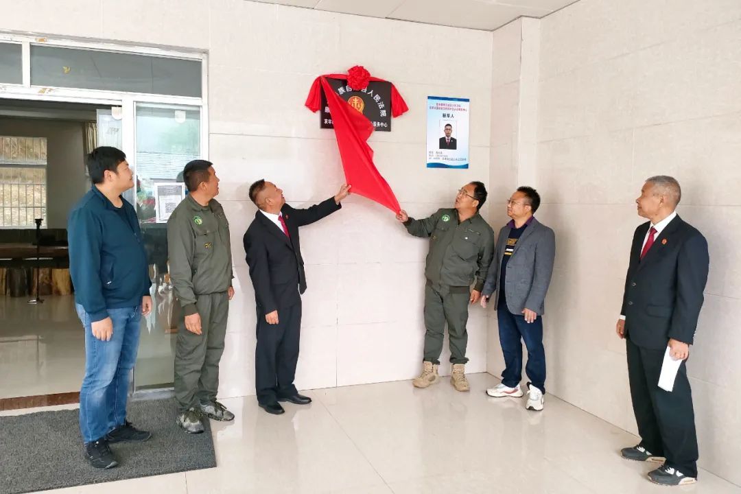 揭秘哀牢山:法治力量下的生态守护之道 揭秘哀牢山:法治力量下的生态守护之道