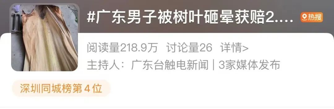 一男子被树叶砸晕,最终获赔2.2万元! 一男子被树叶砸晕,最终获赔2.2万元!