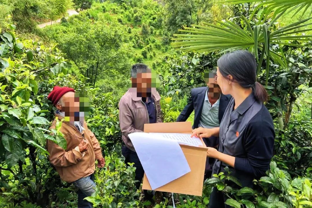 揭秘哀牢山:法治力量下的生态守护之道 揭秘哀牢山:法治力量下的生态守护之道