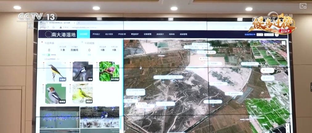 “吃”得开心、“住”得舒心 大美中国迎来更多“新面孔”