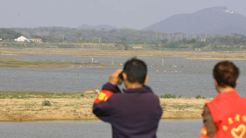 江西：4万多只越冬候鸟飞抵鄱阳湖都昌湖区