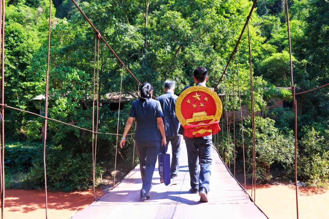 揭秘哀牢山:法治力量下的生态守护之道 揭秘哀牢山:法治力量下的生态守护之道