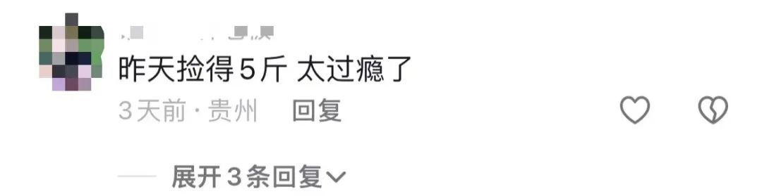 最近捡到板栗了吗?有人捡了5斤!秋天的贵州,遍地都是果果等你“捡” 最近捡到板栗了吗?有人捡了5斤!秋天的贵州,遍地都是果果等你“捡”