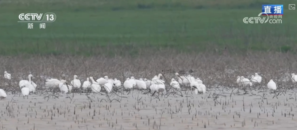 “吃”得开心、“住”得舒心 大美中国迎来更多“新面孔”