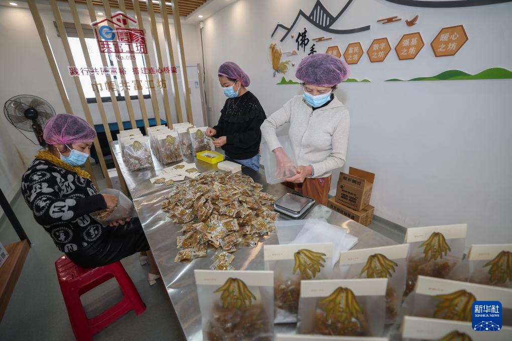 浙江金华：打造乡村特色产业共富示范带