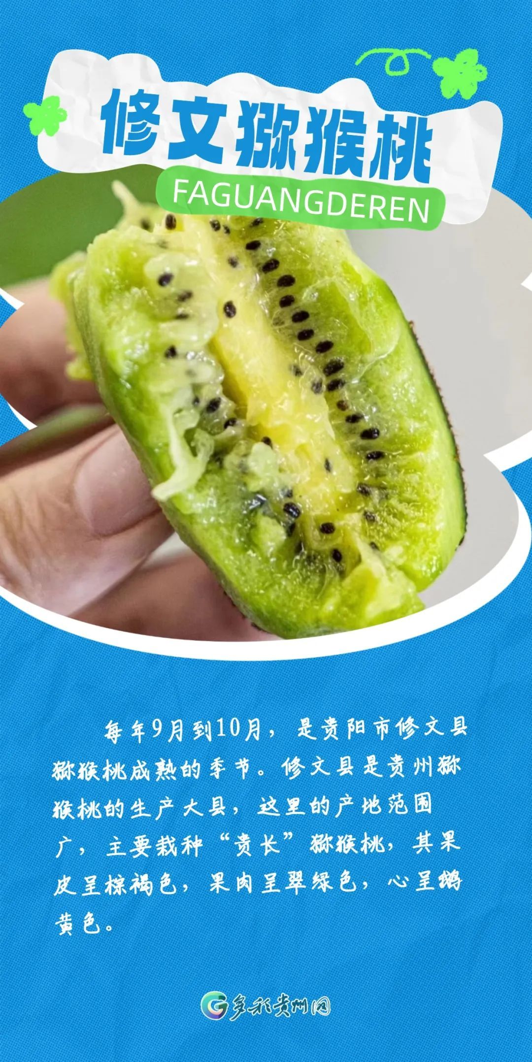 最近捡到板栗了吗?有人捡了5斤!秋天的贵州,遍地都是果果等你“捡” 最近捡到板栗了吗?有人捡了5斤!秋天的贵州,遍地都是果果等你“捡”