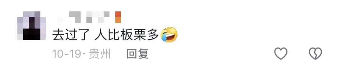 最近捡到板栗了吗?有人捡了5斤!秋天的贵州,遍地都是果果等你“捡” 最近捡到板栗了吗?有人捡了5斤!秋天的贵州,遍地都是果果等你“捡”