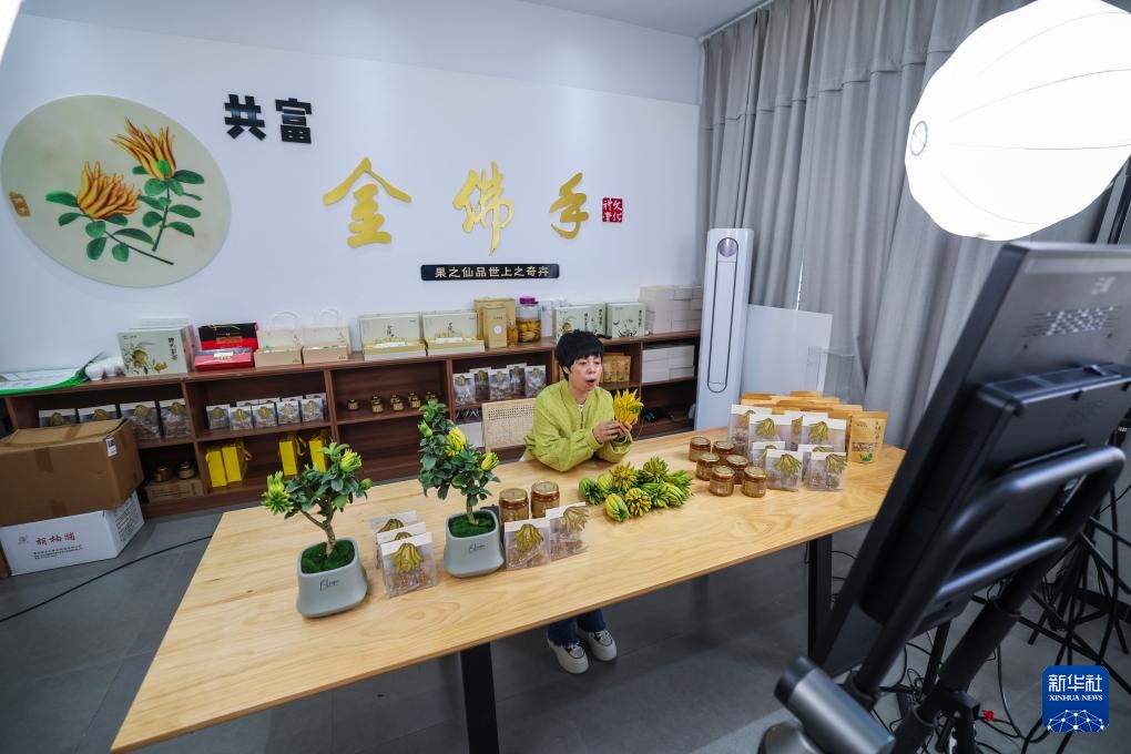 浙江金华：打造乡村特色产业共富示范带