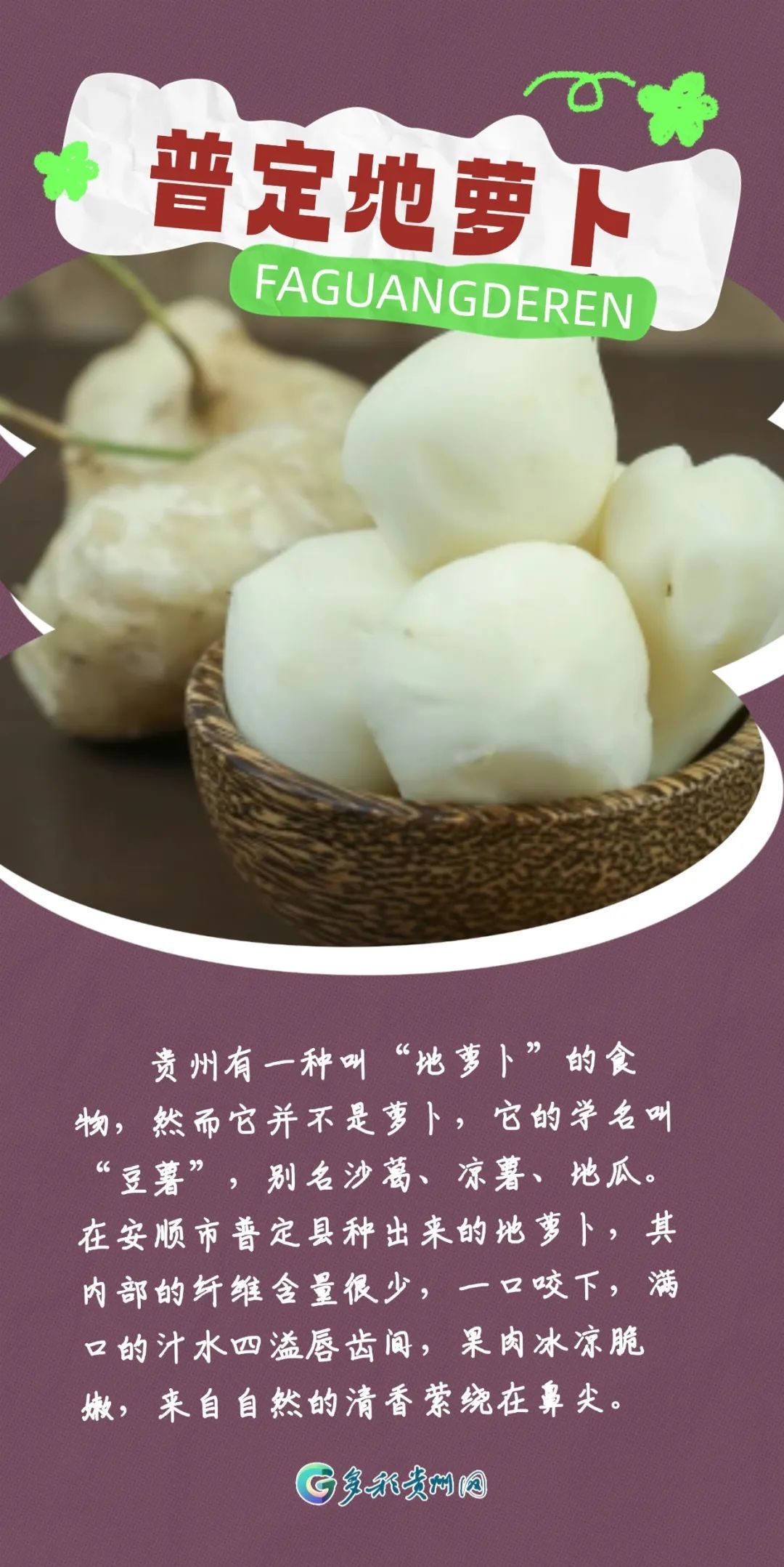 最近捡到板栗了吗?有人捡了5斤!秋天的贵州,遍地都是果果等你“捡” 最近捡到板栗了吗?有人捡了5斤!秋天的贵州,遍地都是果果等你“捡”