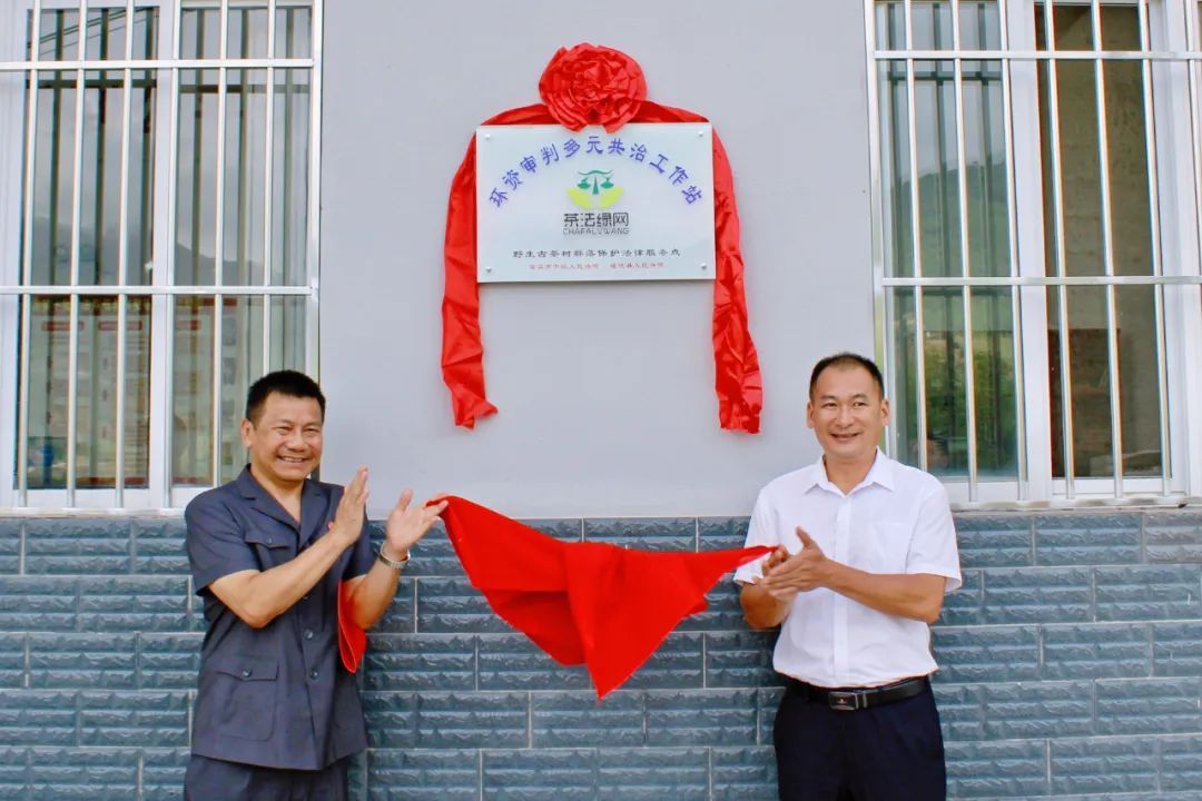 揭秘哀牢山:法治力量下的生态守护之道 揭秘哀牢山:法治力量下的生态守护之道