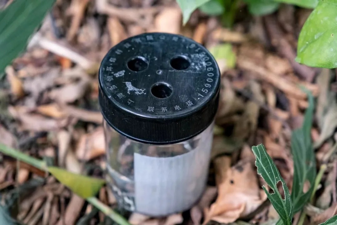 众目睽睽之下，广州男子一下放飞了30万只蚊子！