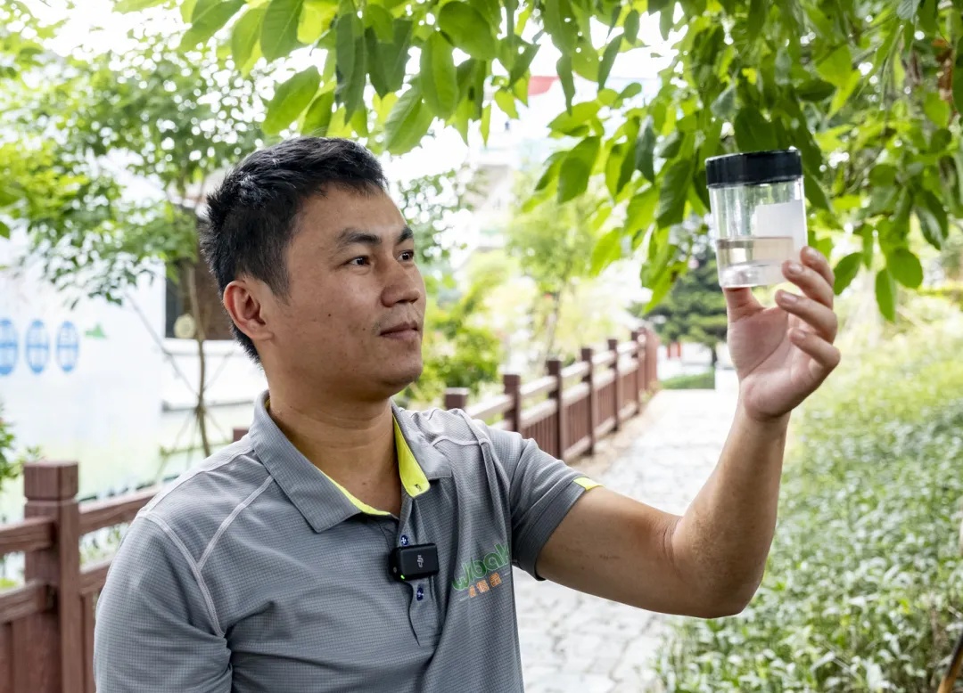 众目睽睽之下，广州男子一下放飞了30万只蚊子！