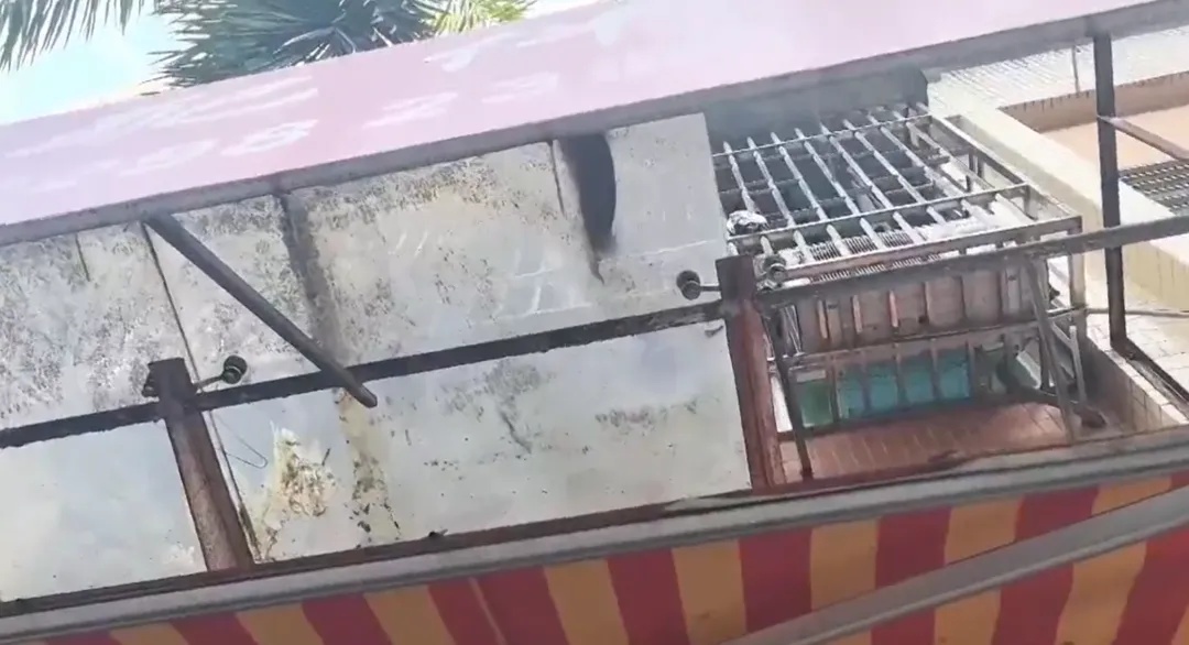 一男子被树叶砸晕,最终获赔2.2万元! 一男子被树叶砸晕,最终获赔2.2万元!