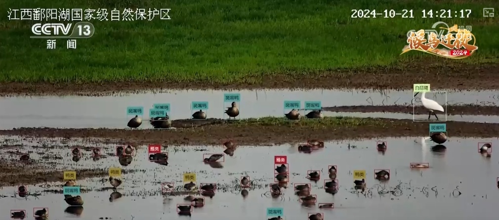 “吃”得开心、“住”得舒心 大美中国迎来更多“新面孔”