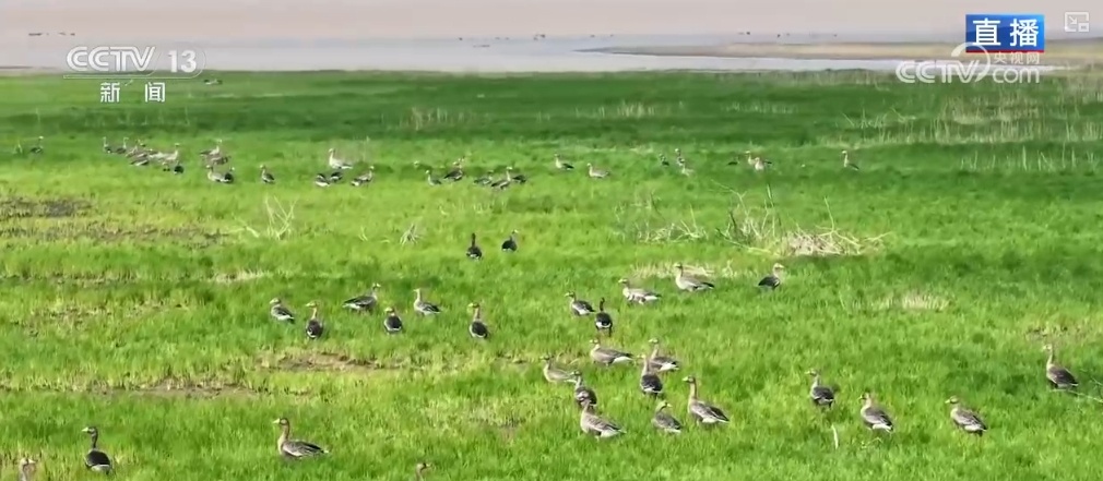 “吃”得开心、“住”得舒心 大美中国迎来更多“新面孔”