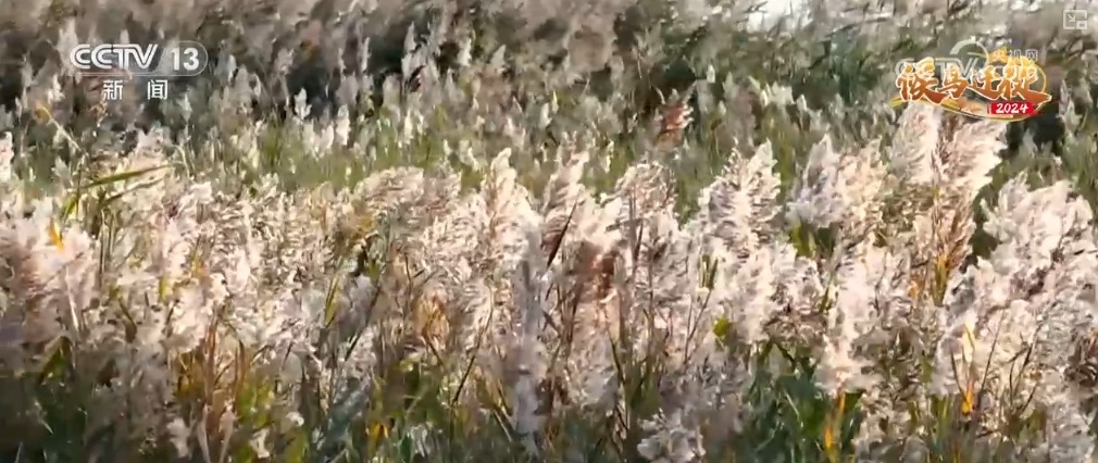 “吃”得开心、“住”得舒心 大美中国迎来更多“新面孔”