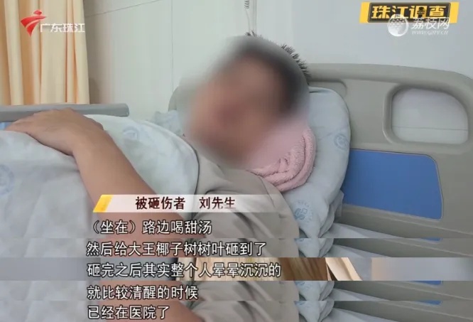 当心 | 广东一男子被树叶砸成骨折! 当心 | 广东一男子被树叶砸成骨折!