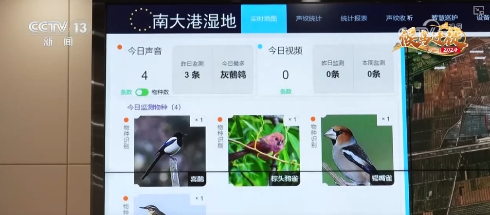 “吃”得开心、“住”得舒心 大美中国迎来更多“新面孔”