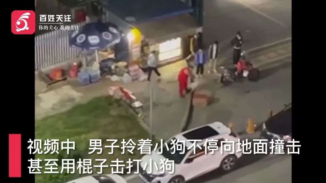 气愤！男子当街虐杀小狗，惨叫声响彻街区，警方：只能警告勿扰民