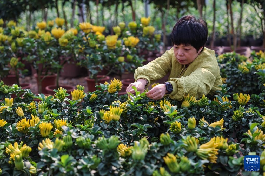 浙江金华：打造乡村特色产业共富示范带