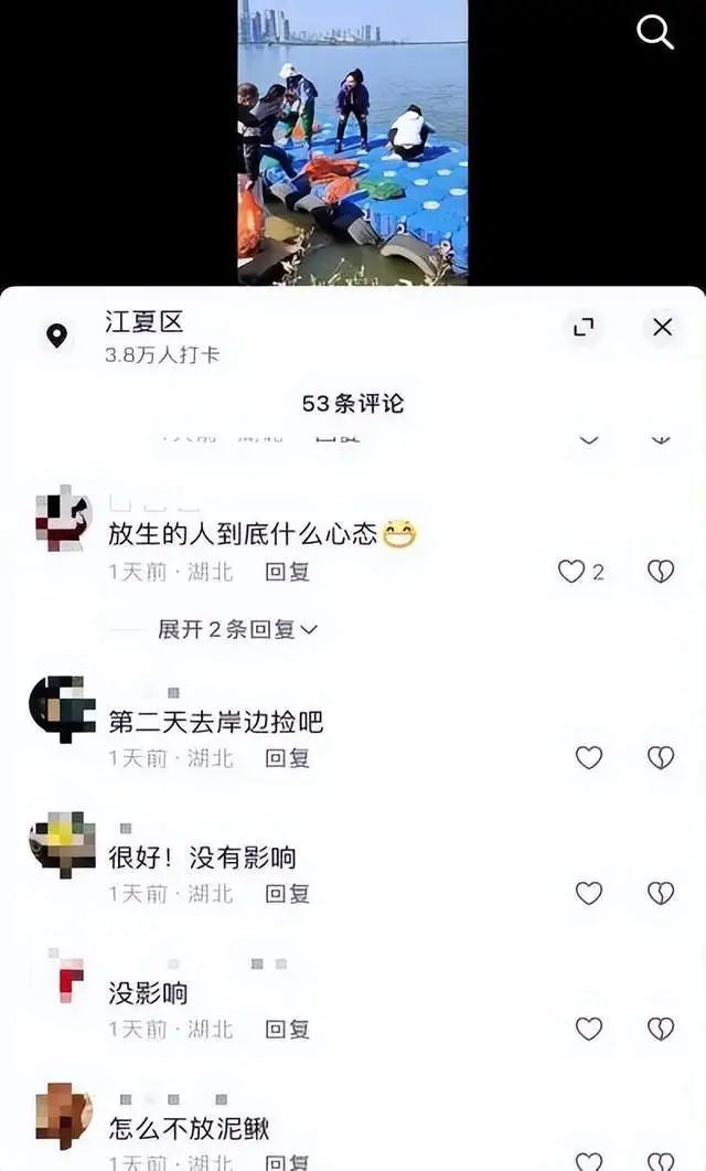 武汉汤逊湖有人放生大量甲鱼?官方:禁止私自放生! 武汉汤逊湖有人放生大量甲鱼?官方:禁止私自放生!