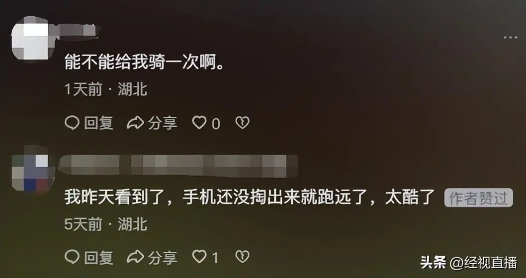 武汉街头惊现黑衣骑马“侠客”！本人回应了→