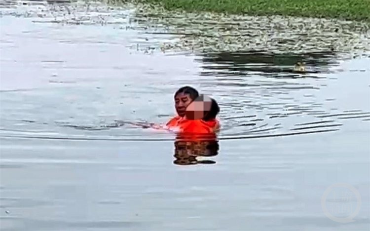 56岁茶楼老板湖中勇救落水女子 这是他第三次救人了 56岁茶楼老板湖中勇救落水女子 这是他第三次救人了