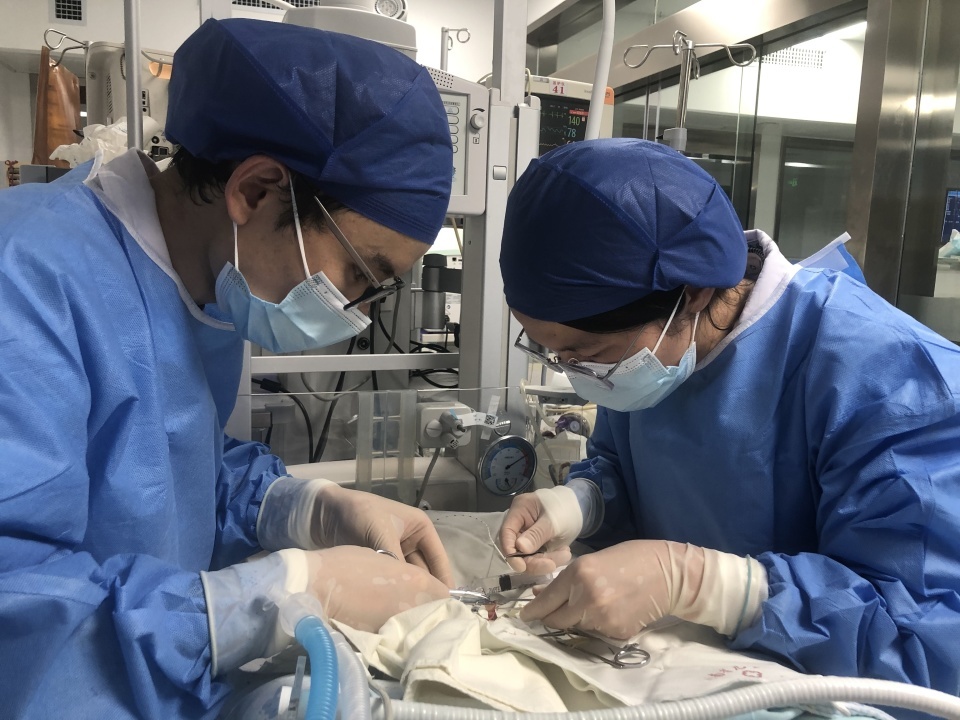 出生时只有一瓶矿泉水重的早产儿，5个月后长到7斤2两出院！