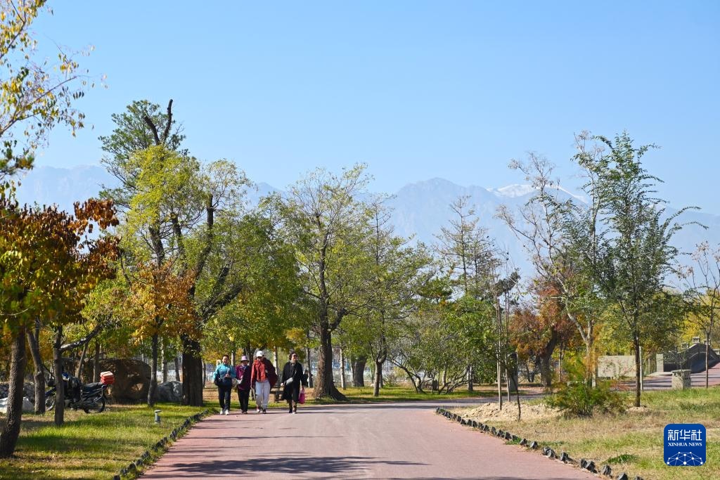 新时代中国调研行之看区域·西部篇｜贺兰山下“酒庄游”成为宁夏文旅新名片