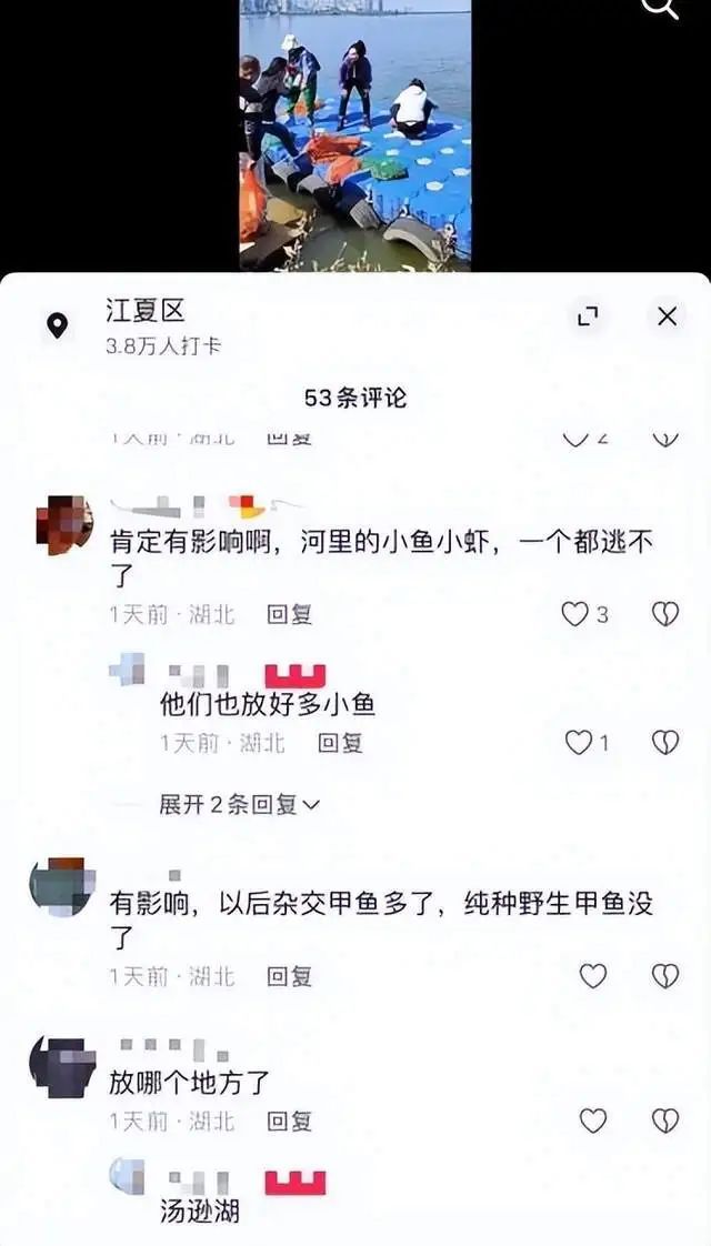 武汉汤逊湖有人放生大量甲鱼?官方:禁止私自放生! 武汉汤逊湖有人放生大量甲鱼?官方:禁止私自放生!