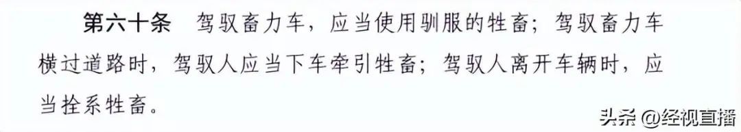 武汉街头惊现黑衣骑马“侠客”！本人回应了→
