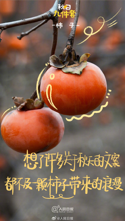 对味儿了！中国人有自己的秋日九件套