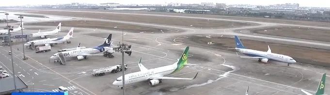 大降价！价格“腰斩”！