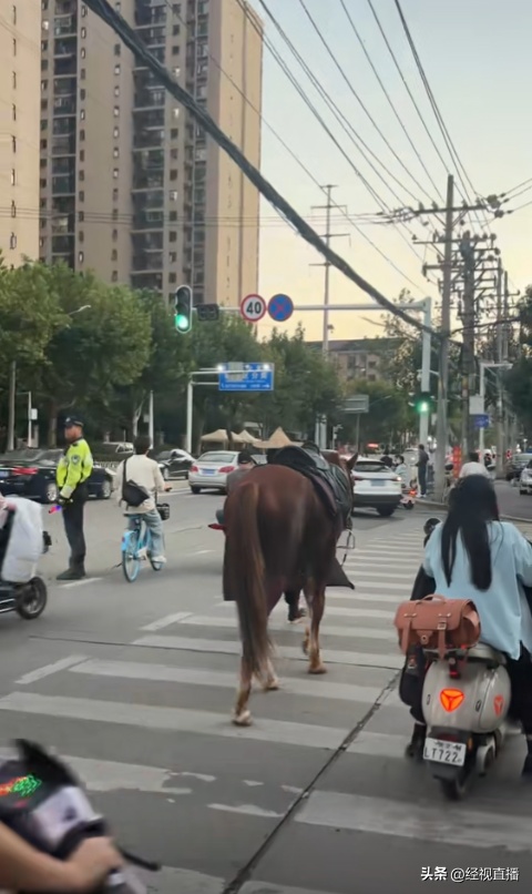 武汉街头惊现黑衣骑马“侠客”！本人回应了→