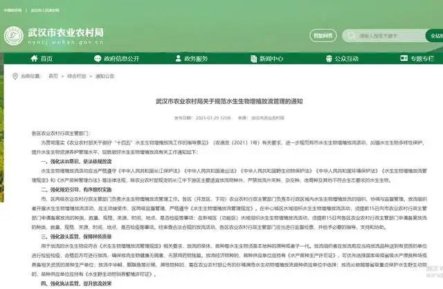 武汉汤逊湖有人放生大量甲鱼?官方:禁止私自放生! 武汉汤逊湖有人放生大量甲鱼?官方:禁止私自放生!