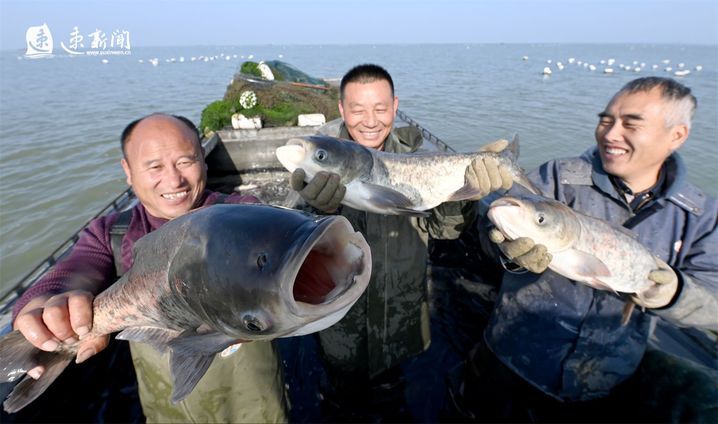 “胖头鱼”上岸！
