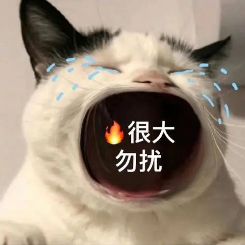 俩小伙改装“电驴”勇闯西藏？梦想却半途被烧成“渣渣”